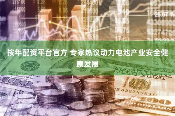 按年配资平台官方 专家热议动力电池产业安全健康发展